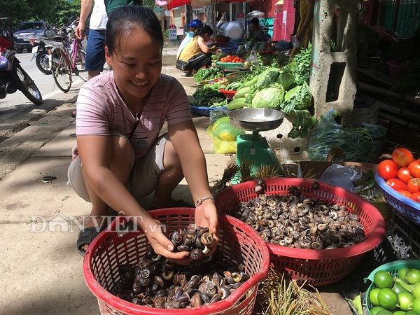 &nbsp;Những hôm săn bắt được nhiều ốc núi đá, chị Hà Thị Hạnh mang ra chợ Trung tâm huyện bán kiếm thêm thu nhập.