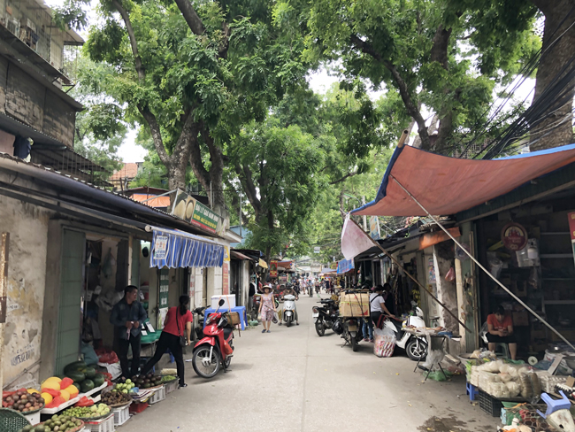 Khu tập thể Kim Liên ở phố Phạm Ngọc Thạch (Đống Đa, Hà Nội) là một trong những khu tập thể cũ kỹ và lâu đời nhất ở thủ đô. Tại đây, hàng chục ngôi nhà đều có cây cổ thụ mọc xuyên nhà.
