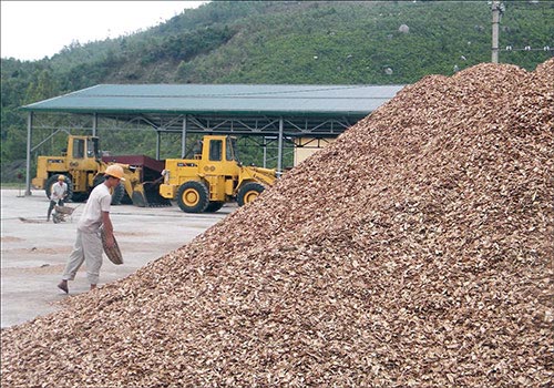 Xuất khẩu dăm gỗ: Số 1 thế giới vẫn không “quyết” nổi thị trường - 1
