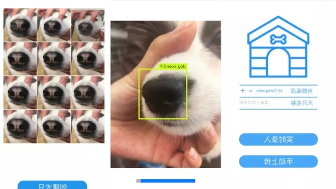 Công ty Trung Quốc sử dụng công nghệ nhận diện khuôn mặt để &#34;tìm chó lạc&#34; - 1