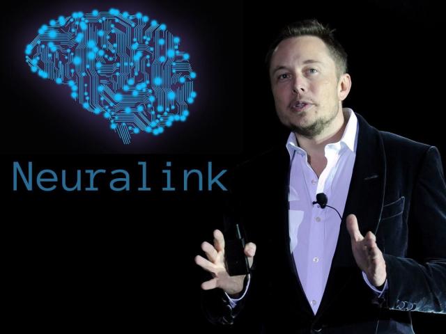 Tỷ phú Elon Musk và tham vọng cấy chíp vào não bộ con người