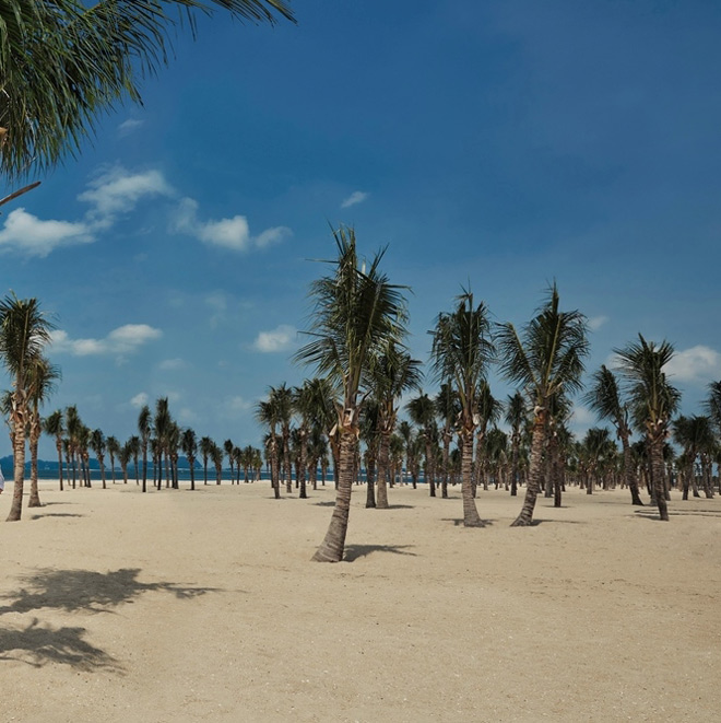 Bãi biển Bãi Cháy hứng 6 tấn rác từ du khách mỗi ngày - 1