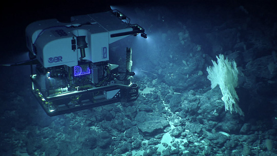 Phương tiện điều khiển từ xa Deep Discoverer của Cơ quan Quản lý Khí quyển và Đại dương quốc gia Mỹ trong lần khảo sát dãy núi ngầm Musicians ở Thái Bình Dương hồi cuối năm 2017 Ảnh: NOAA