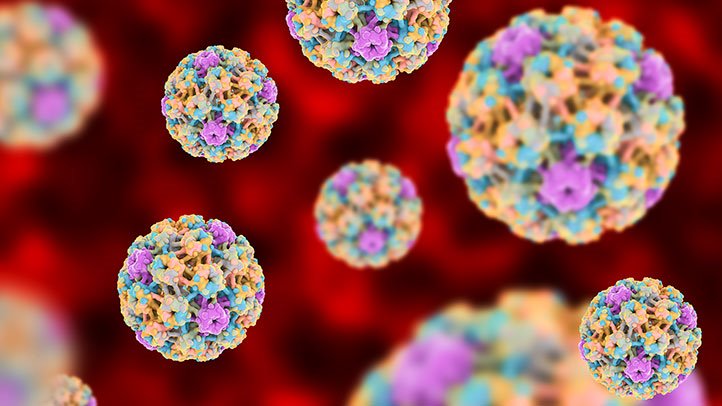 7 điều ít ai biết rõ về HPV, căn bệnh tình dục phổ biến nhất hiện nay - 1