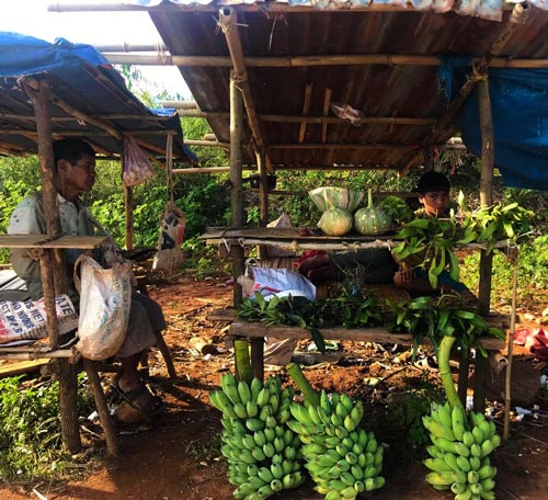 Bí ngô, chuối rừng và cả phong lan rừng.