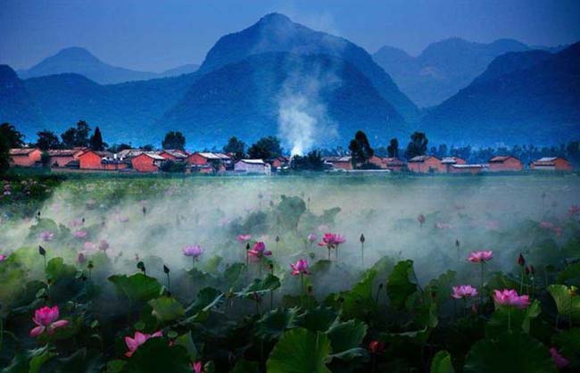 11.Thiên đàng thực sự có ở Puzhehei, khung cảnh ở đây này càng lung linh huyền ảo mỗi khi đêm về. Người ta còn ví nơi đây như một bản thu nhỏ của vườn địa đàng.
