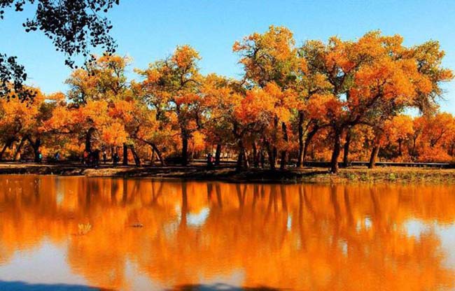 15.Zhang Yimou nổi tiếng với khung cảnh vào mùa thu tuyệt đẹp. Vào thời gian này, mọi thứ như một bức tranh thiên nhiên hoàn hảo.

