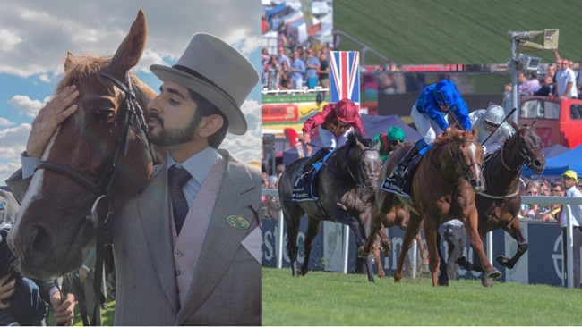 Cưỡi ngựa là sở thích của thái tử Sheikh Hamdan từ khi còn nhỏ. Thái tử đã giành được các danh hiệu ở một số giải vô địch cưỡi ngựa quốc tế và khu vực.