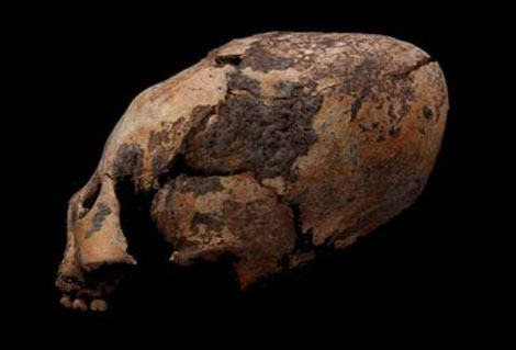 Một chiếc sọ kéo dài được tìm thấy tại Houtaomuga.