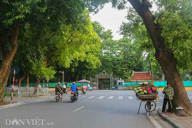 Ngoài sở hữu chiều dài khiêm tốn, phố Mai Xuân Thưởng còn là nơi các gánh hoa rong vẫn thường dừng lại bên vỉa hè để chào mời khách và đặc biệt, phố còn có hướng nhìn thẳng vào cổng sau của Phủ Chủ tịch.