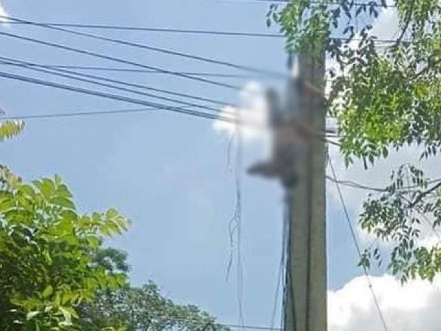 Nóng 24h qua: Tài xế bị điện giật treo lơ lửng trên không vì cố ”giải cứu” xe tải