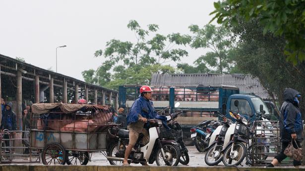 Tình hình tiêu thụ tại chợ lợn Hà Nam đã tấp nập hơn trước, giá heo hơi hôm nay đang ở mức 41.000 đồng/kg. Ảnh: Xuân Thoán&nbsp;