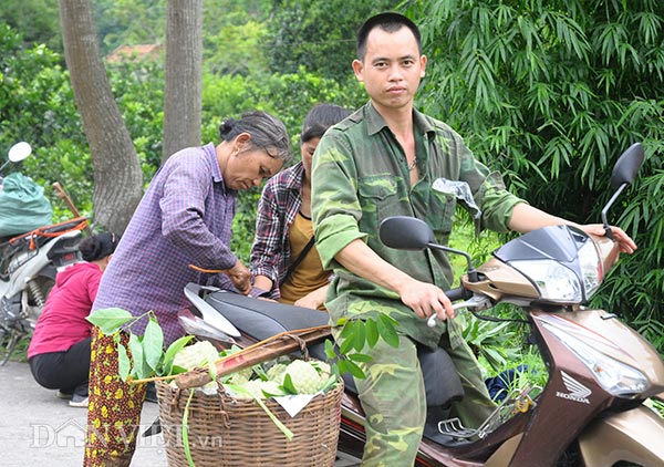 Hiện na đang bắt đầu chín lác đác&nbsp;tại các nhà vườn của&nbsp;nông dân Chi Lăng. Các giống na bắt đầu chín từ trung tuần tháng 5 âm lịch đến tháng 9 âm lịch, thu hoạch rộ và khoảng tháng 6-7 âm lịch.