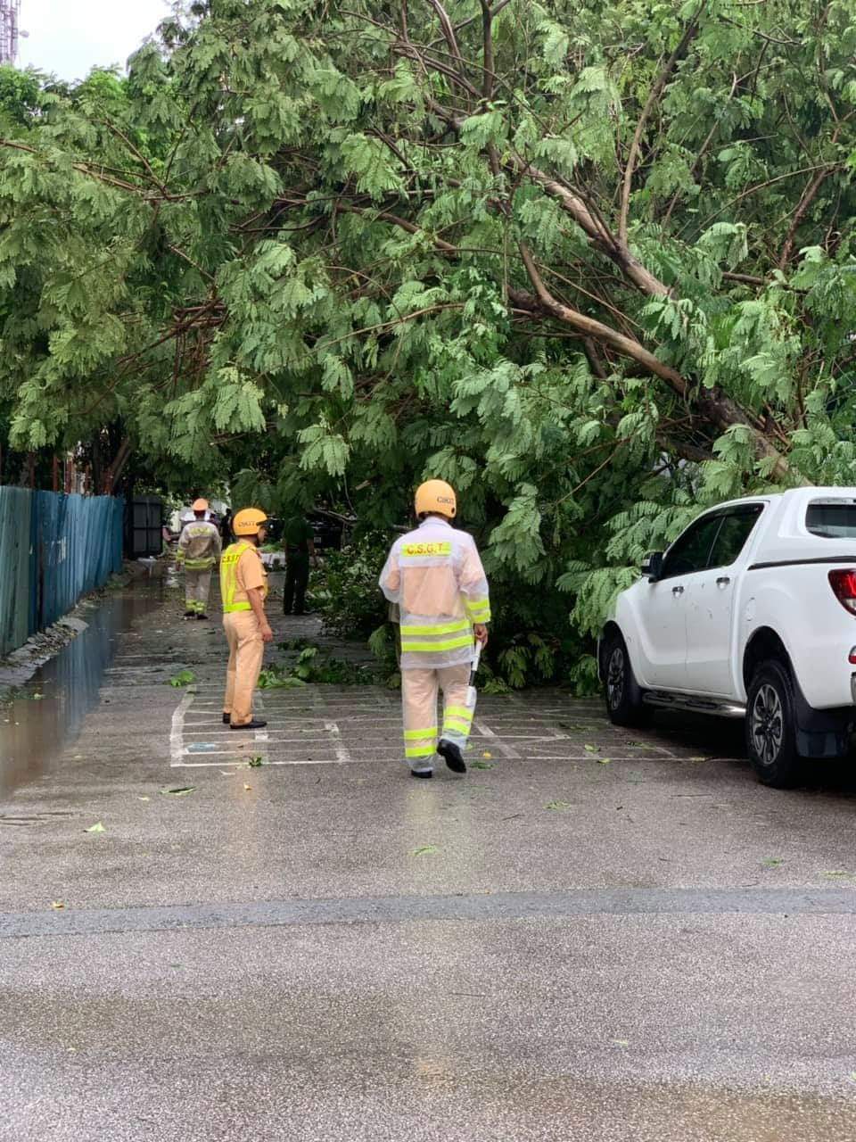 Lực lượng CSGT có mặt điều tiết giao thông tại một số tuyến phố có cây gãy, bật gốc.