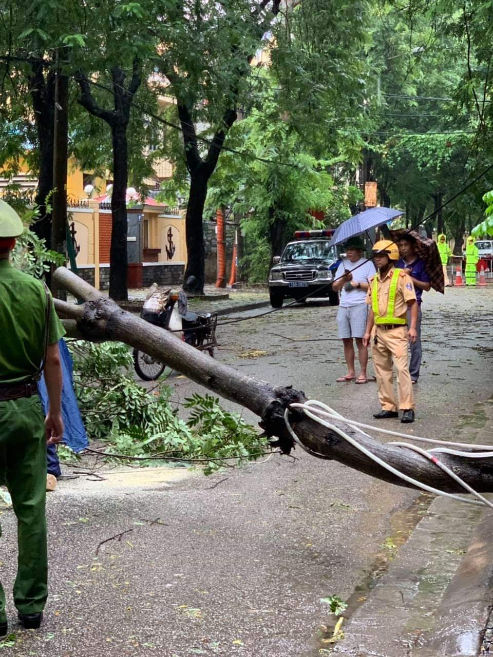 Nhiều tuyến phố nội thành TP.Hải Phòng tê liệt vì cây bật gốc chắn ngang đường phố.