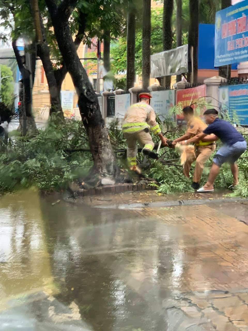 CSGT cùng người dân chung tay dọn sạch các cành cây gãy, đổ sau mưa bão.