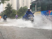 Tin tức trong ngày - Bão số 3 quét qua, hàng loạt cây xanh bật gốc, đường phố tê liệt vì ngập sâu