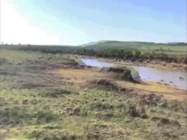 Video: Ngựa vằn thoát hàm cá sấu, lên bờ rơi vào ổ phục kích của kẻ dữ tợn hơn