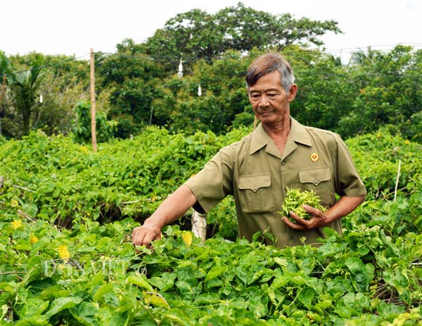 Mang tiếng ngược đời nhưng "vắt" đất phèn ra hơn 700 triệu/năm - 3
