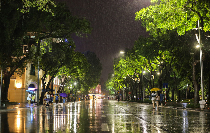 Về đêm, những ánh đèn nhiều màu sắc phản chiếu xuống mặt đường trong ngày mưa