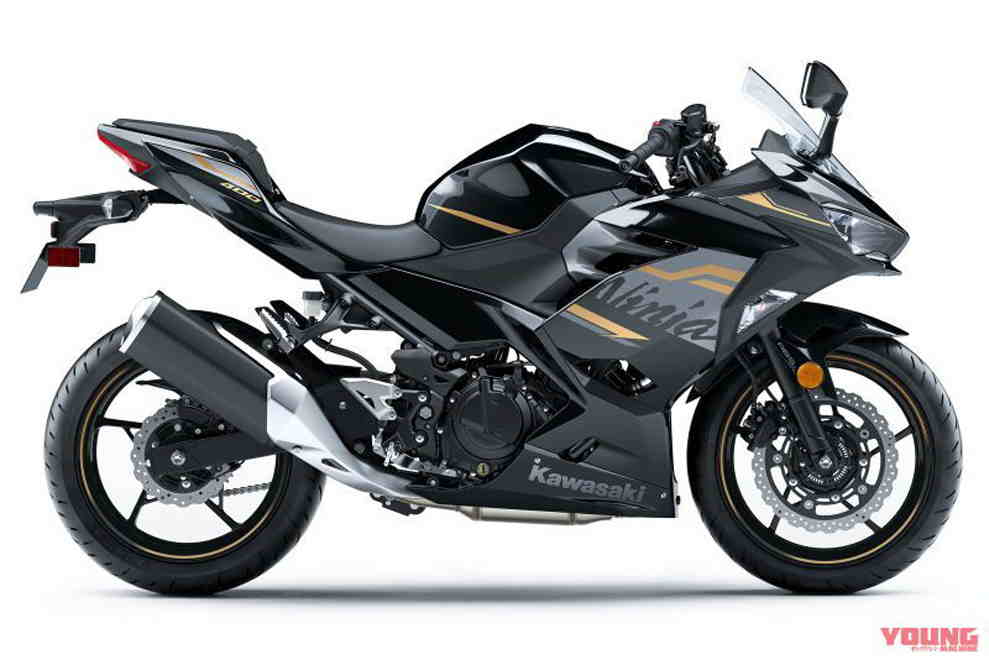 Kawasaki Ninja 250 và 400 2020 có tem đua KRT &#34;chất như nước cất&#34; - 9