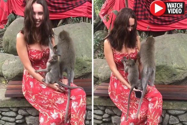Người mẫu Nga ngượng ngùng khi con khỉ có hành động khác thường.