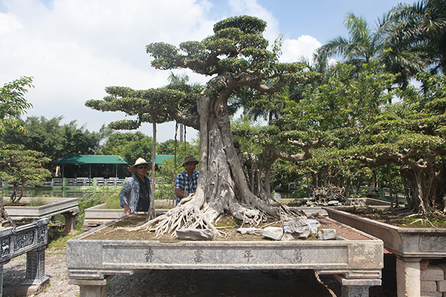 Anh Trần Viết Chiến (Thanh Trì, Hà Nội) là chủ nhân của tác phẩm sanh có tên “Cột cờ Hà Nội”