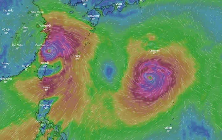 &nbsp;Hai cơn bão Lekima và Krosa đang hoạt động cùng lúc trên khu vực Thái Bình Dương. Ảnh chụp màn hình.