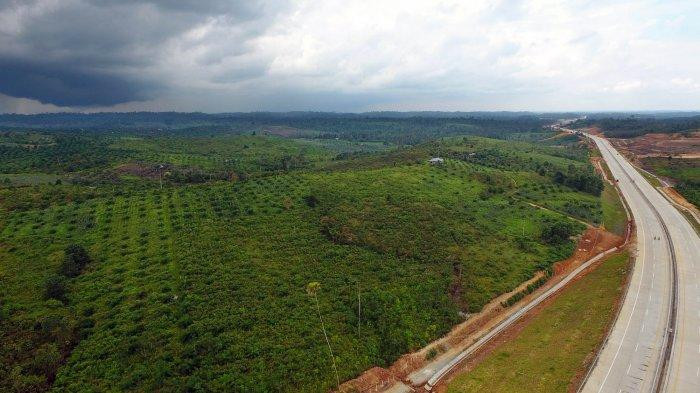 Khu vực đông Kalimantan chủ yếu là đất rừng, rất phù hợp để xấy dựng thành phố mới.