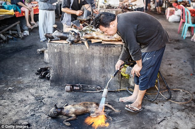 Những món ăn đáng sợ bán đầy ở chợ Indonesia khiến thực khách hết hồn - 3