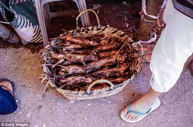 Những món ăn đáng sợ bán đầy ở chợ Indonesia khiến thực khách hết hồn - 6