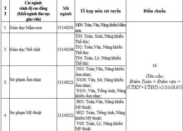 Những trường có điểm chuẩn trúng tuyển thấp nhất năm 2019 - 13