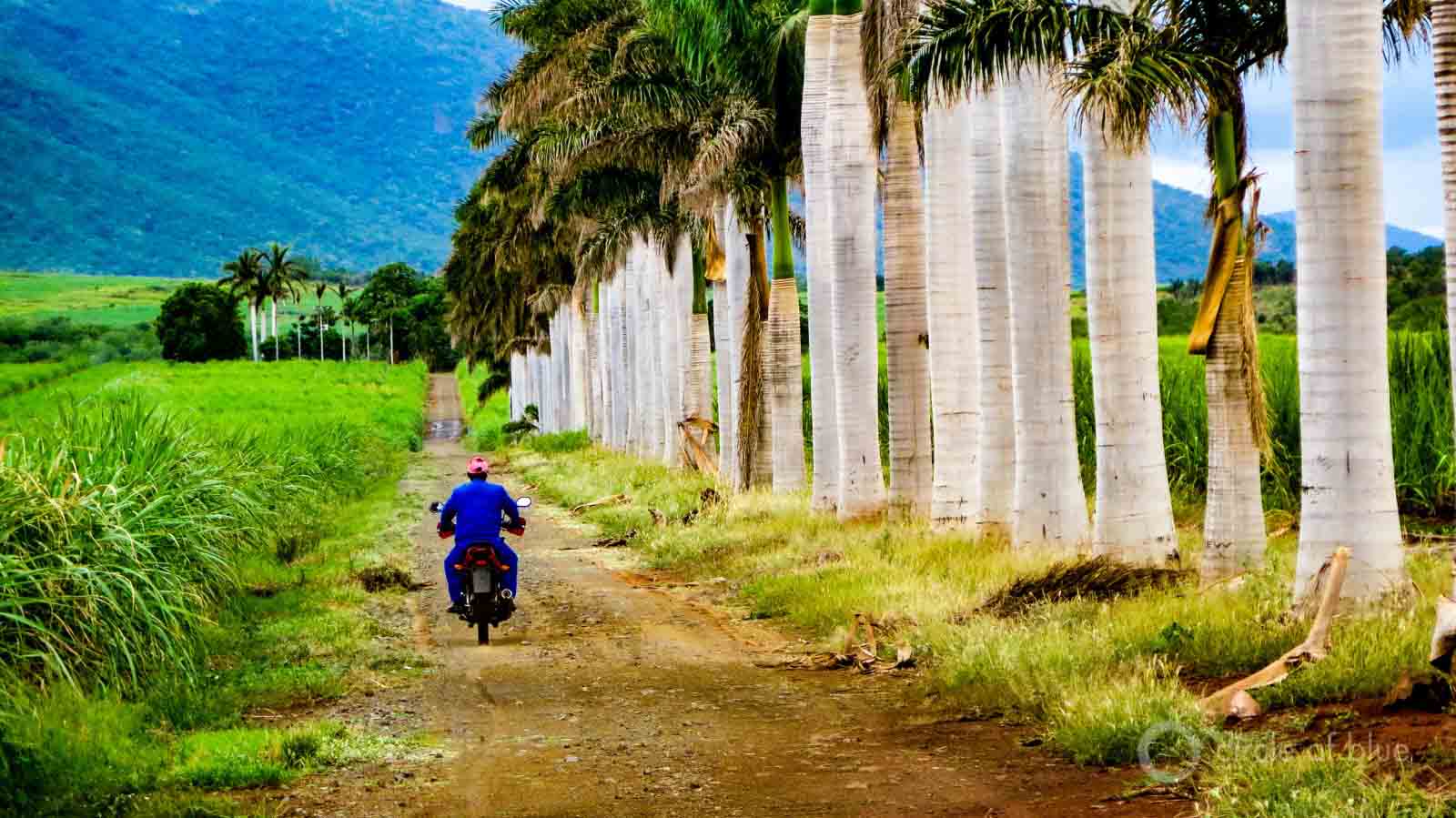 Không ngờ du khách ùn ùn tới Nam Phi vì những lý do này - 3