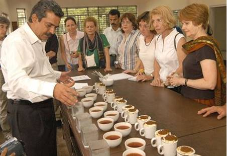 Túi trà nặng 2kg Maijan Orthodox Golden của công ty trà Assam đã được bán với giá 141.002 rupee, tương đương với gần&nbsp;50 triệu đồng. Ảnh Globaltimes