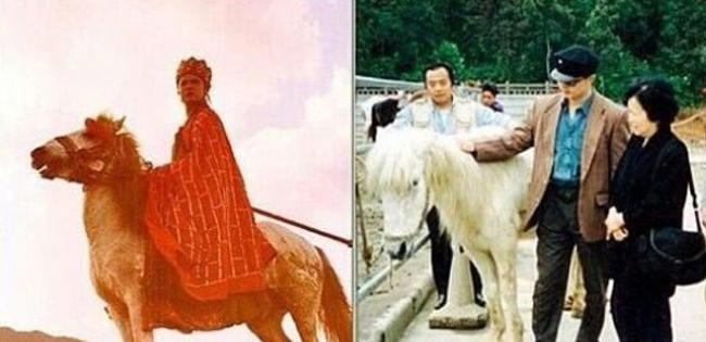 Con ngựa trắng Đường Tăng cưỡi vốn là một chú quân mã ở Nội Mông (Trung Quốc), năm 1983 được "xuất ngũ" chuyển sang làm diễn viên.