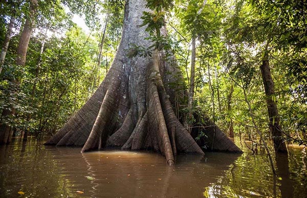 Bí ẩn những vùng đất ở nơi &#34;tận cùng thế giới&#34; - 3