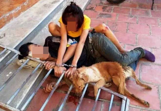 Cặp tình nhân trộm chó bị bắt giữ xích cùng với con chó tang vật tại UBND xã Phú Lộc