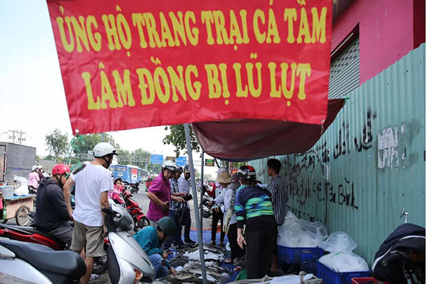 Vài ngày trở lại đây, trên đường Trường Chinh, quận Tân Bình, TP HCM xuất hiện vài điểm bán cá tầm treo bảng "Ủng hộ trang trại cá tầm Lâm Đồng bị lũ lụt".&nbsp;