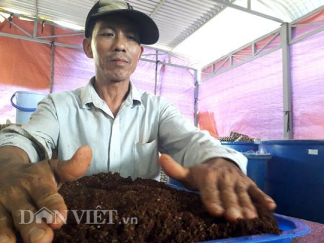 Anh nông dân Sài thành làm giàu từ ”trang trại” nuôi loài kêu rỉ rả