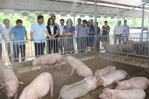 Bộ trưởng NN&amp;PTNT Nguyễn Xuân Cường đặc biệt ấn tượng với mô hình liên kết chăn nuôi an toàn sinh học của Tập đoàn Quế Lâm.