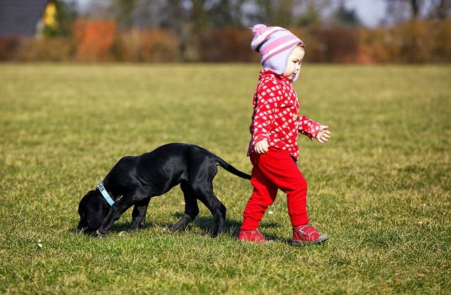 Trẻ em được tiếp xúc với vật nuôi sẽ rất tốt cho quá trình hình thành nhân cách, phát triển tình cảm yêu thương đồng loại, muôn loài. (ảnh minh họa)