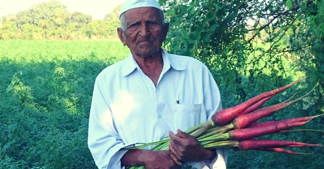 Tuy nhiên, không ai ở vùng Gujarat vào thời điểm đó biết cà rốt cũng có thể dùng được cho người.