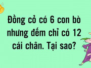 Giáo dục - du học - Những câu đố chỉ dành cho thiên tài thách thức mọi trí tuệ