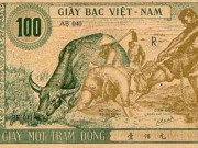 Kinh doanh - Bạn biết gì về nhà máy in tiền đầu tiên của Việt Nam?