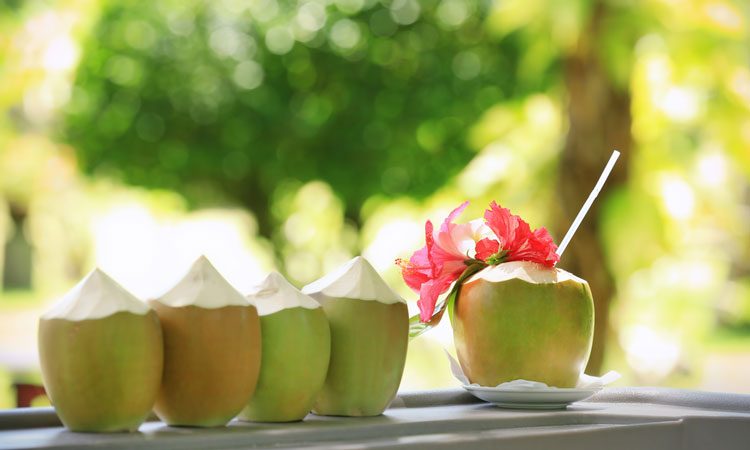 Nước dừa có thể uống hàng ngày.&nbsp;