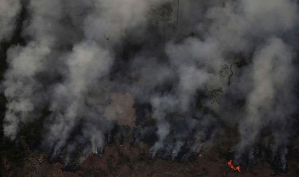 Có tới hơn 70.000 vụ cháy rừng đã diễn ra tại Brazil trong năm nay (Ảnh: Reuters)