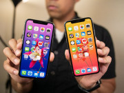 Dế sắp ra lò - iPhone 2019 chưa ra, Apple đã tìm cách giảm chi phí cho iPhone 2020