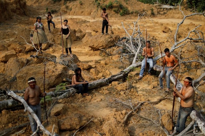 Bộ lạc Mura cho phóng viên Reuters thấy nơi những cánh rừng chỉ còn là đất trống.