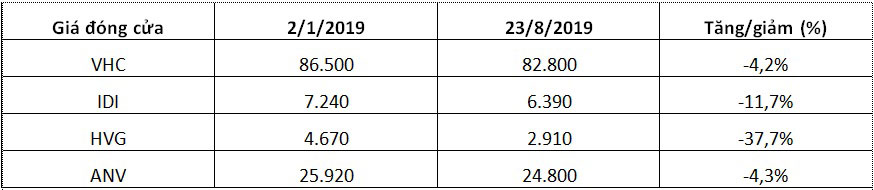 Hàng loạt cổ phiếu DN cá tra có mức tăng trưởng âm trong nửa đầu năm 2019. Ảnh: Quốc Hải.