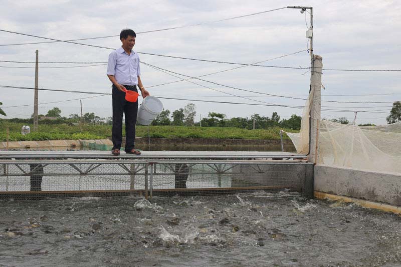 Mô hình tạo sông trong ao để nuôi cá đang là hướng đi mới của nhiều hộ dân nuôi trồng thủy sản trên địa bàn Ứng Hòa.